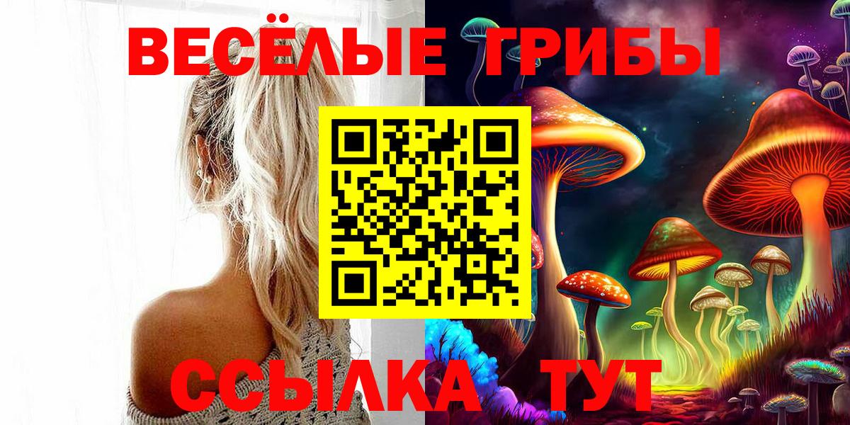 Альфа ПВП Керчь